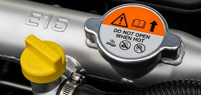 Automotive Labels 